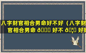 八字财官相合男命好不好（八字财官相合男命 🍀 好不 🦈 好婚姻）